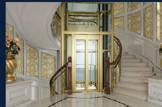 Villa Elevators